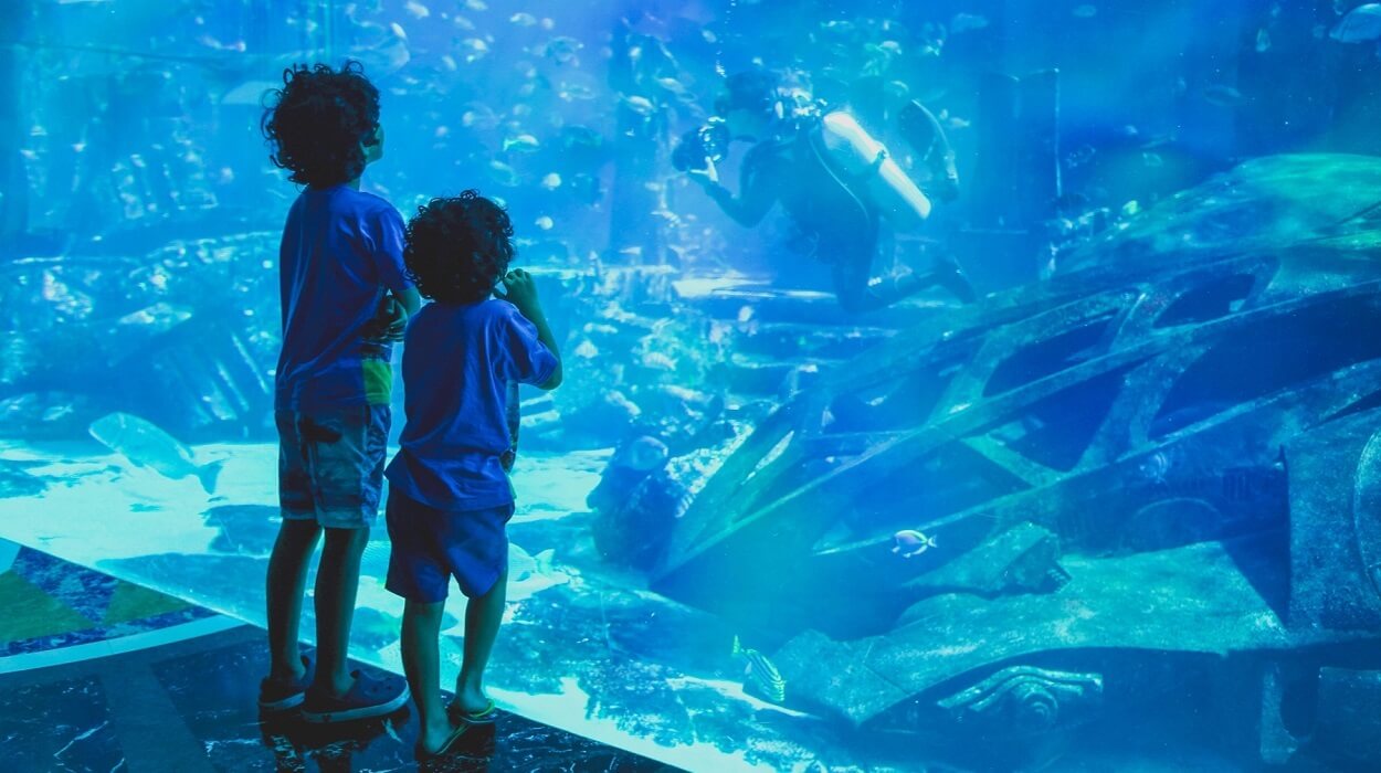 Activities for Kids in Dubai