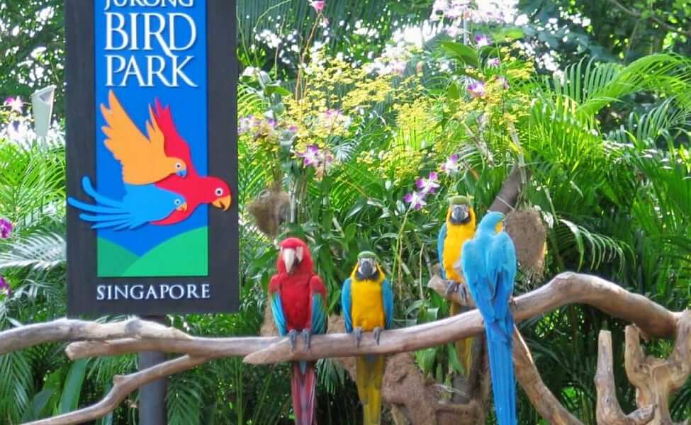 jurong bird park singapore