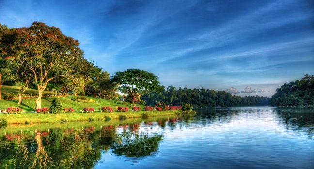 macritchie reservoir singapore