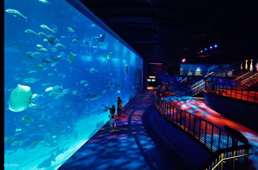 s.e.a aquarium singapore