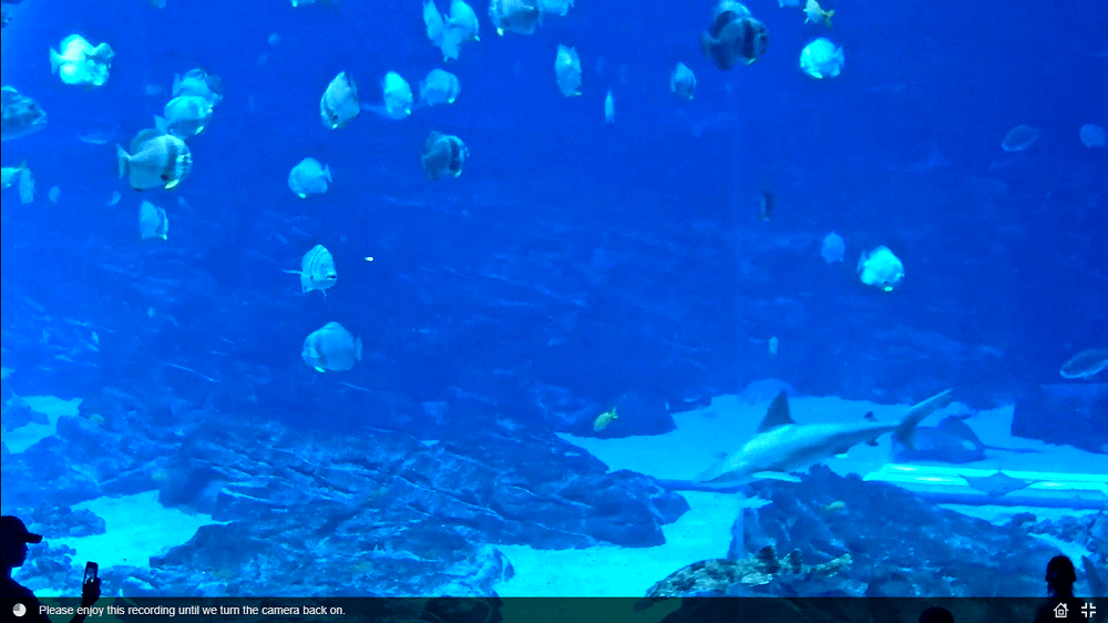 Georgia Aquarium, Georgia, USA