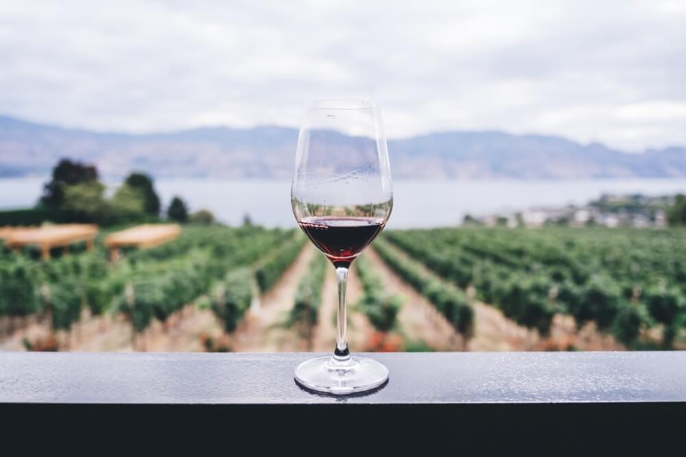 Top 9 Regions in the World for Wine Lovers