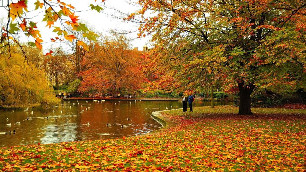 Fall In Love With Fall: 7 Things To Do In Ireland This Autumn 2022