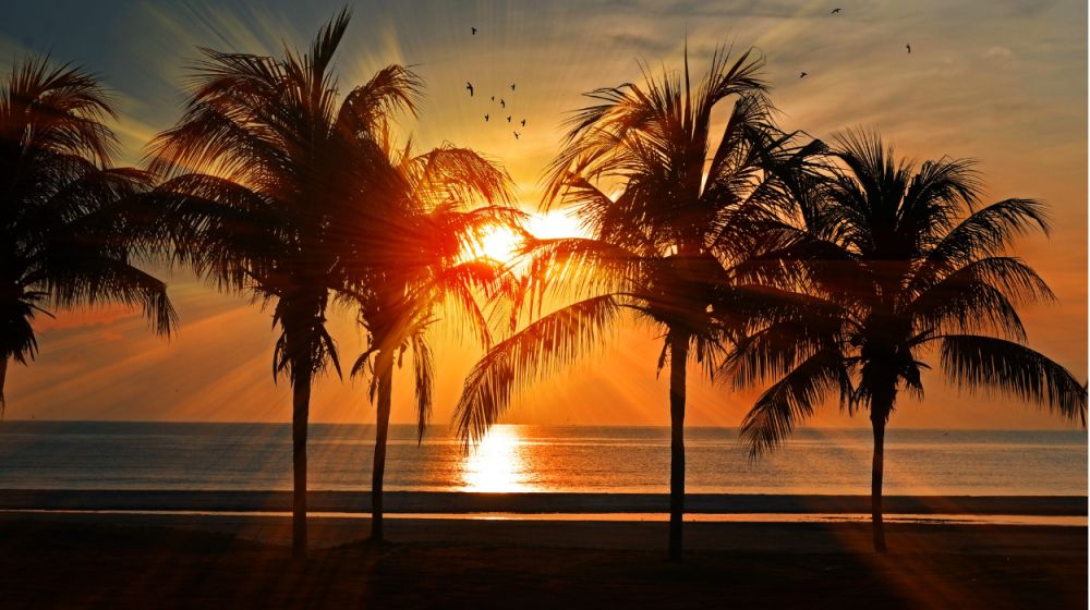 Is Goa’s Day Life Better than Nightlife?