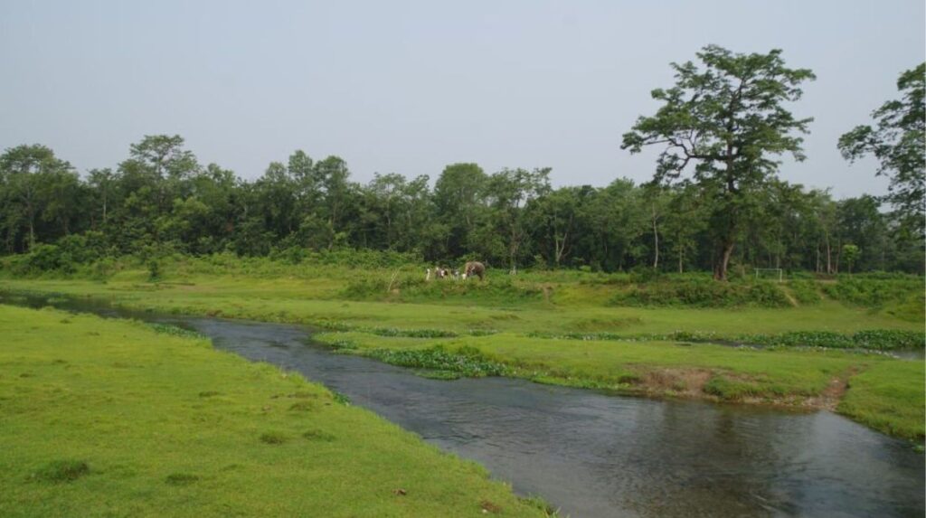 Chitwan national park