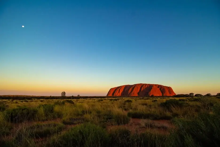 The Outback. An Adventure in the Wild