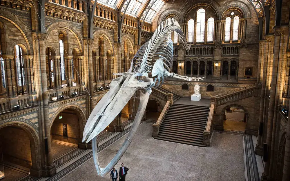 natural history museum london