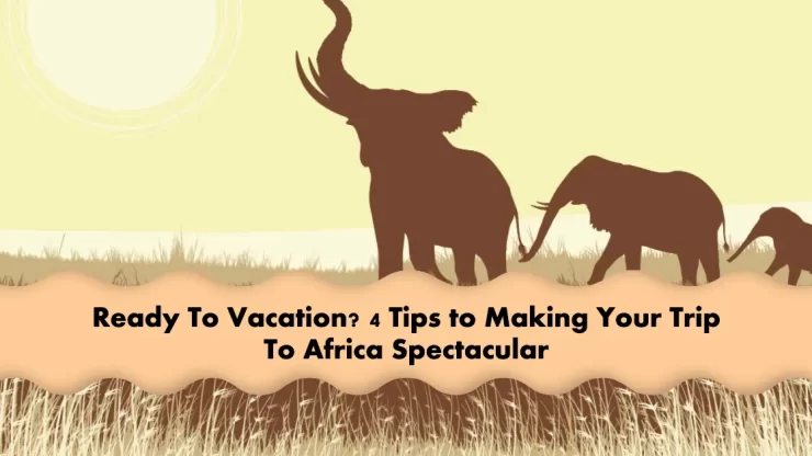 Tips to Making Your Trip To Africa Spectacular